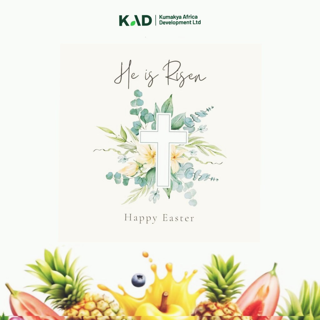 A graphic featuring the text 'He is Risen' and 'Happy Easter' surrounded by floral designs with a central white cross, set against a soft background. At the bottom, there are colorful fruits and a splash of juice.